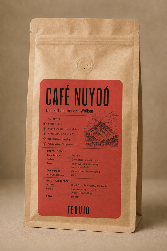 CAFÉ NUYOÓ